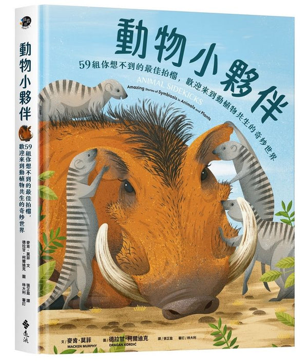 動物小夥伴：59 組你想不到的最佳拍檔，歡迎來到動植物共生的奇妙世界