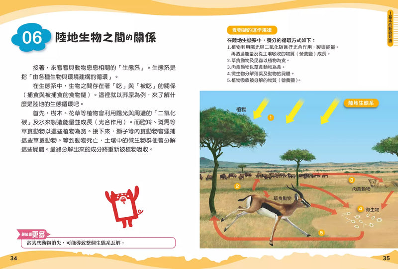 兒童伽利略1: 動物學校-Children’s / Teenage general interest: Nature and animals-買書書 BuyBookBook