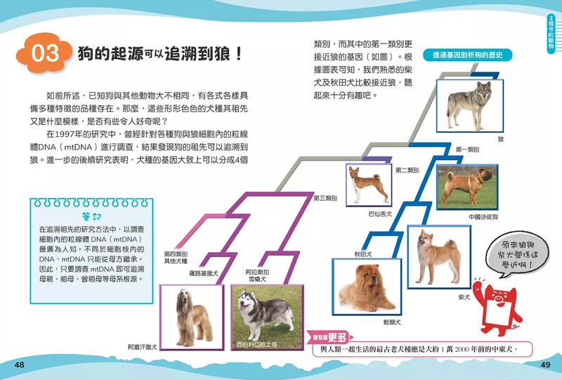 兒童伽利略1: 動物學校-Children’s / Teenage general interest: Nature and animals-買書書 BuyBookBook