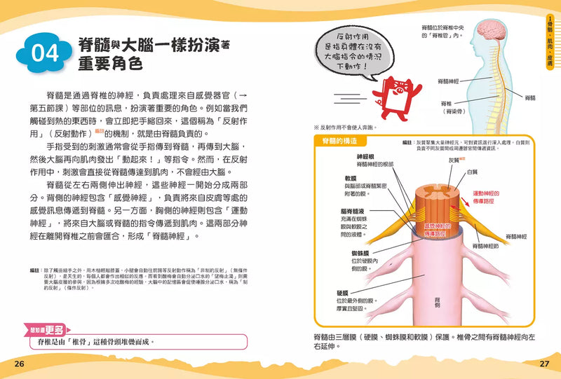 兒童伽利略4: 人體學校-Children’s / Teenage general interest: General knowledge and interesting facts-買書書 BuyBookBook