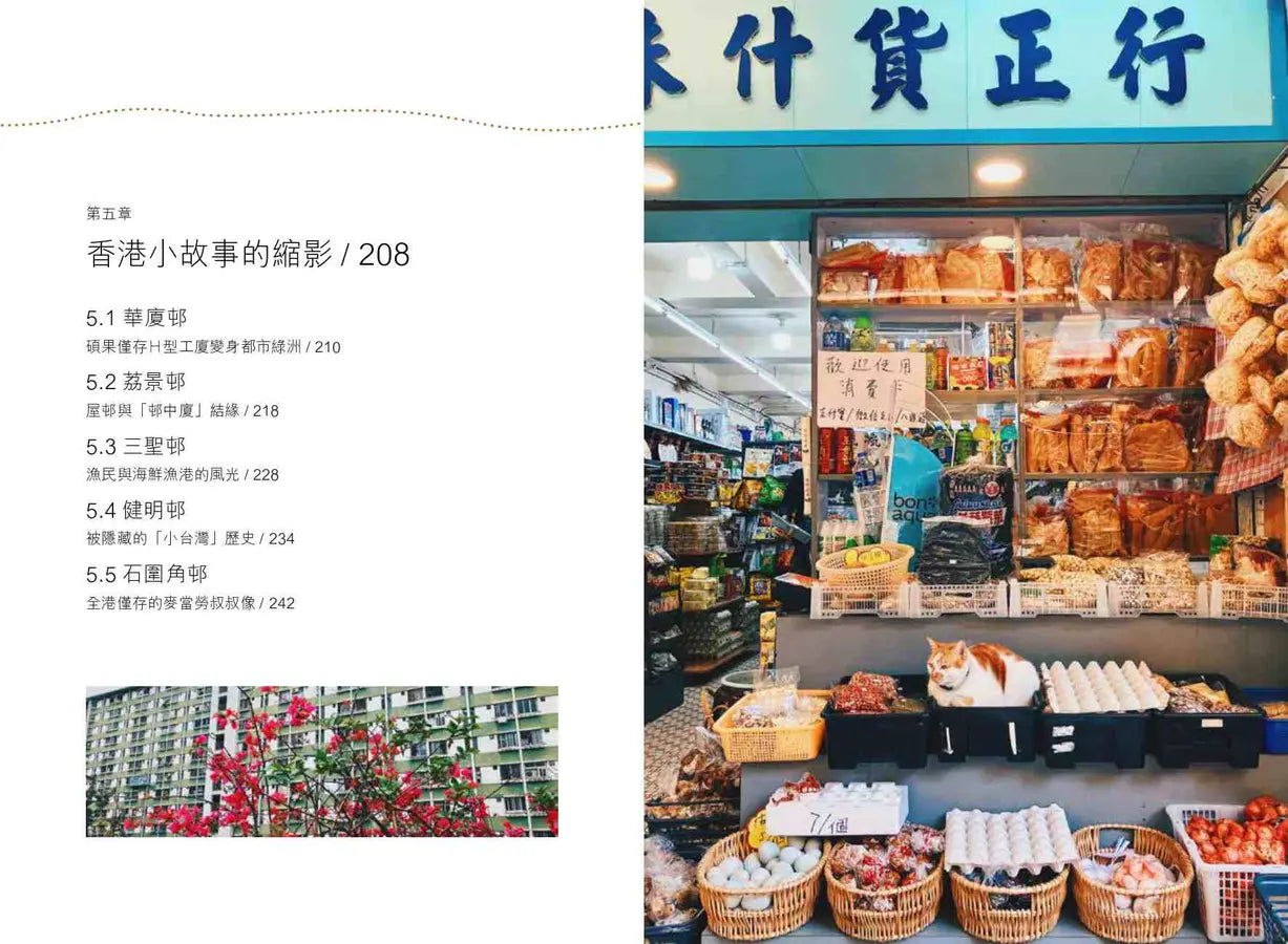 遊走香港屋邨誌