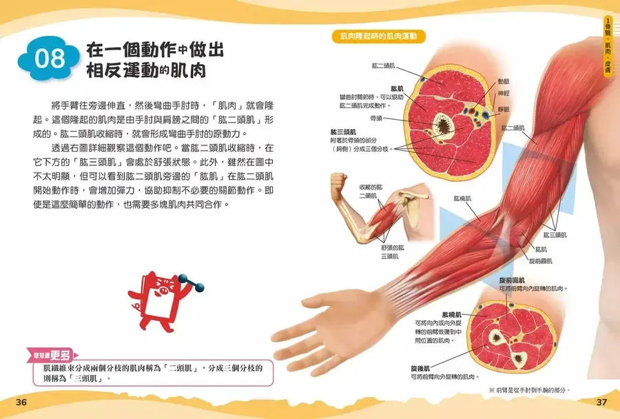 兒童伽利略4: 人體學校-Children’s / Teenage general interest: General knowledge and interesting facts-買書書 BuyBookBook