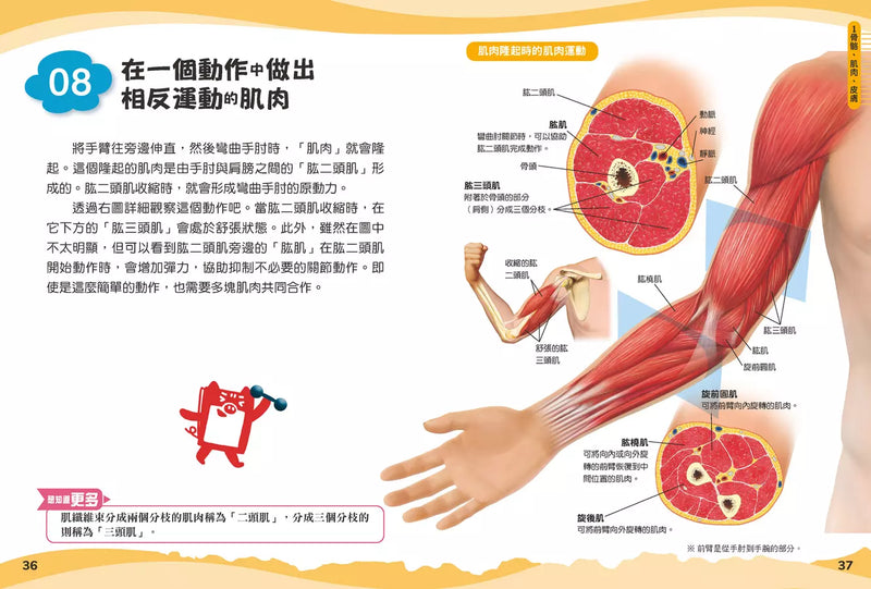 兒童伽利略4: 人體學校-Children’s / Teenage general interest: General knowledge and interesting facts-買書書 BuyBookBook