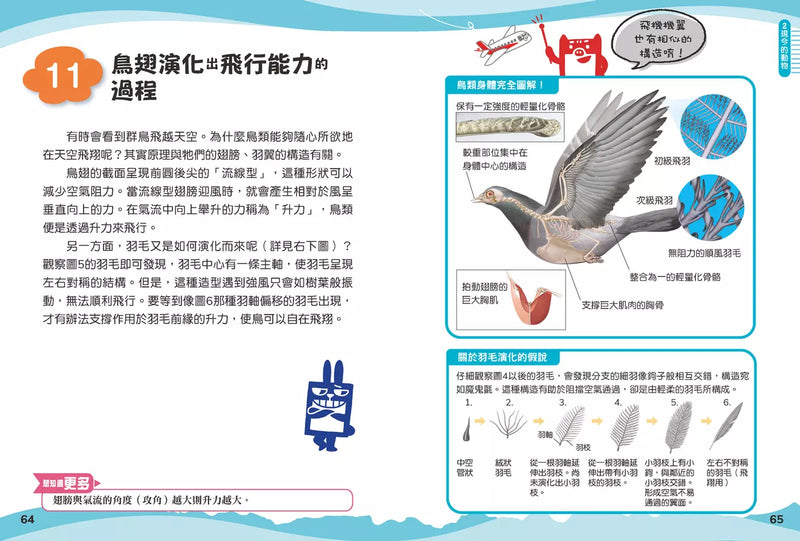 兒童伽利略1: 動物學校-Children’s / Teenage general interest: Nature and animals-買書書 BuyBookBook