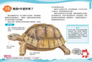 兒童伽利略1: 動物學校-Children’s / Teenage general interest: Nature and animals-買書書 BuyBookBook