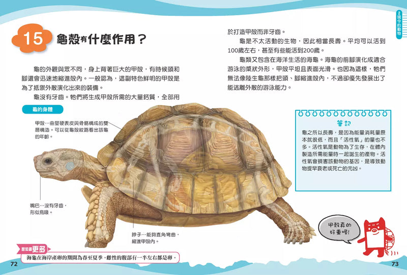 兒童伽利略1: 動物學校-Children’s / Teenage general interest: Nature and animals-買書書 BuyBookBook