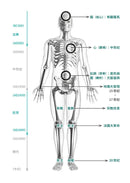 人生的坑，都在歷史課本裡：人體圖像化記憶，從此輕鬆讀通歐洲史