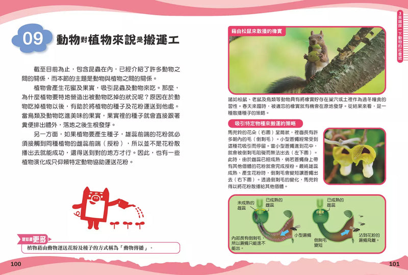 兒童伽利略1: 動物學校-Children’s / Teenage general interest: Nature and animals-買書書 BuyBookBook