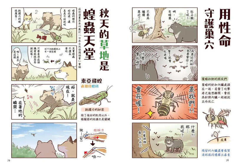 野生動物搞笑日常3：原來牠們這樣生活！用4格漫畫觀察四季生態