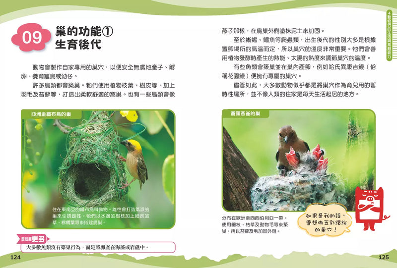 兒童伽利略1: 動物學校-Children’s / Teenage general interest: Nature and animals-買書書 BuyBookBook