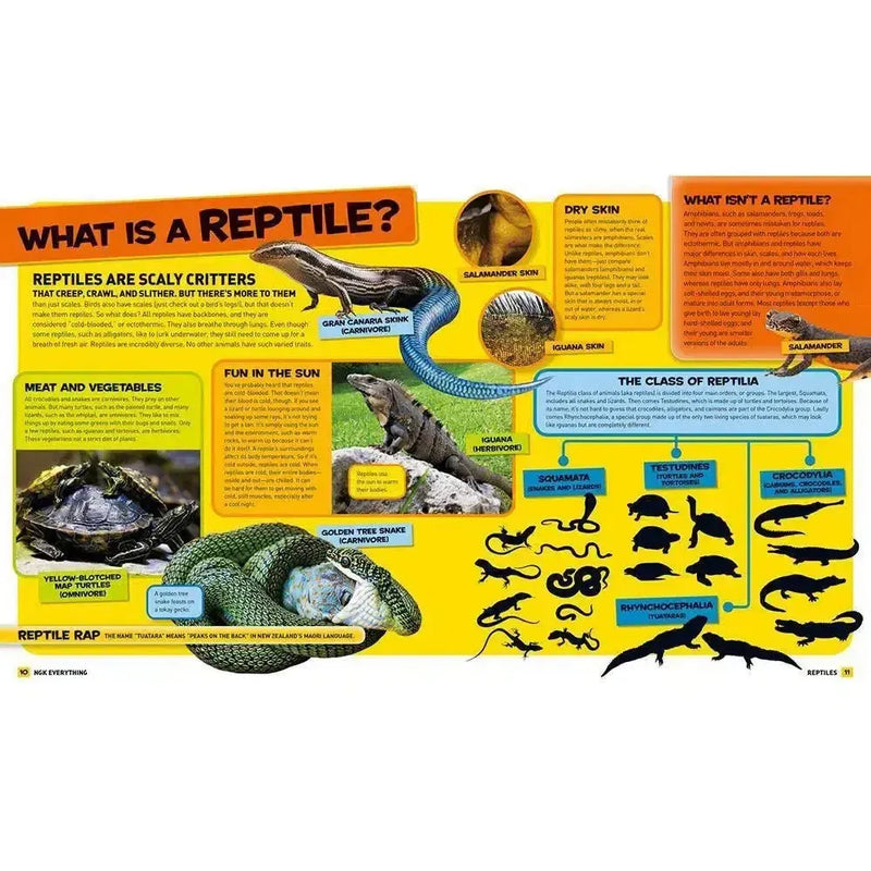 NGK Everything: Reptiles National Geographic