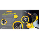 NGK: Funny Animals National Geographic