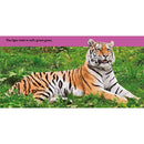 NGK Look and Learn: Big Cats (Board Book) National Geographic