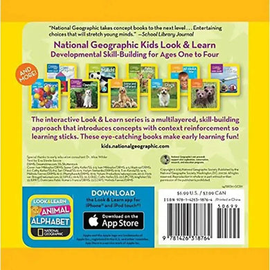 NGK Look and Learn: Bugs (Board Book) National Geographic