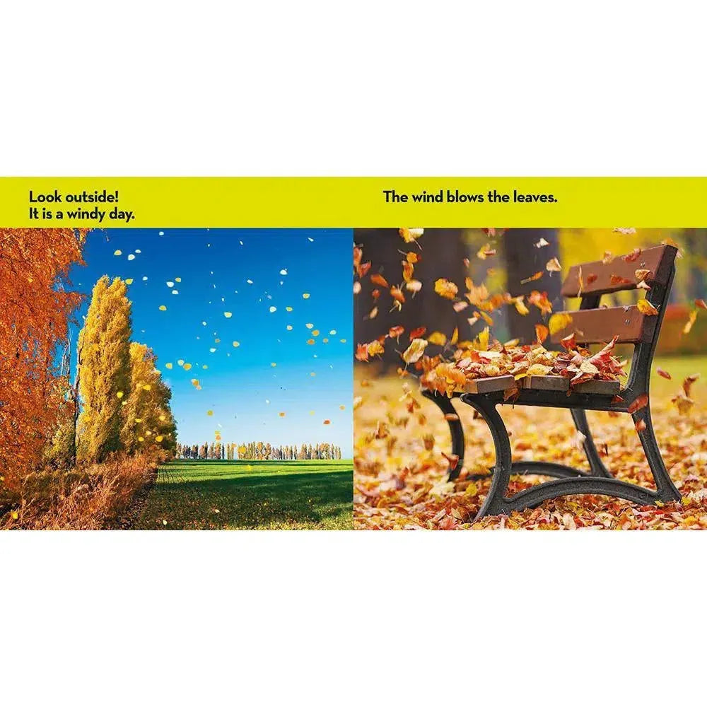 NGK Look and Learn: Look Outside (Board Book) National Geographic
