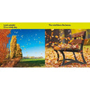 NGK Look and Learn: Look Outside (Board Book) National Geographic