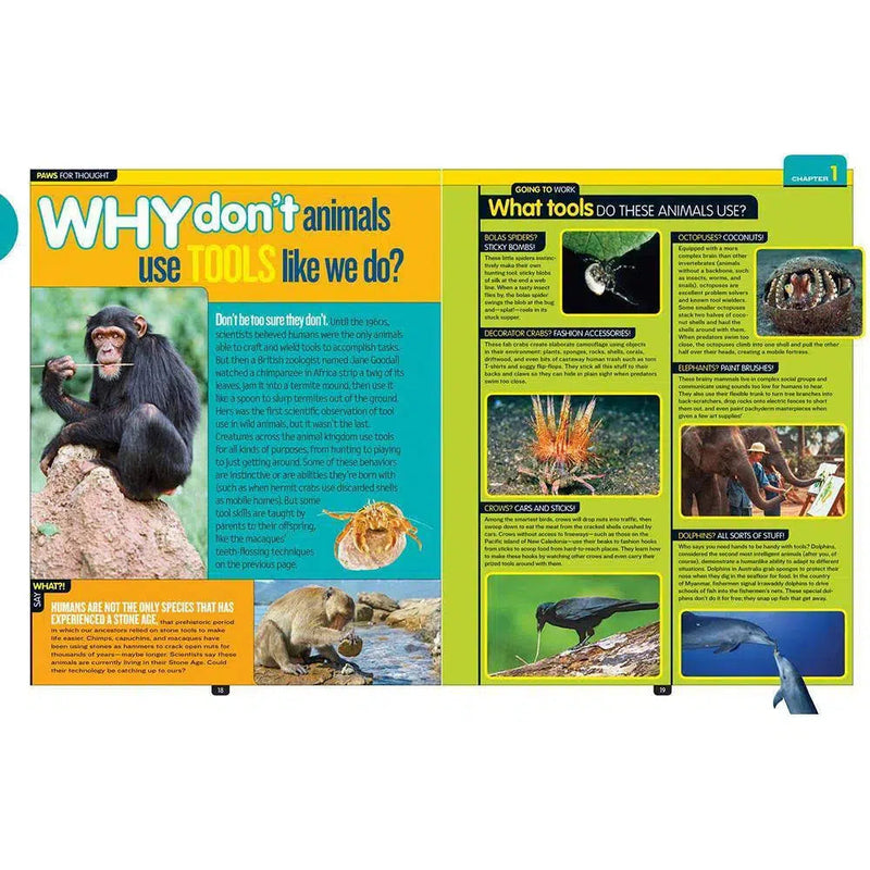 NGK: Why Not? (Hardback) National Geographic