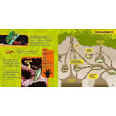 NGK Little Kids First Big Book of Bugs (Hardback) National Geographic