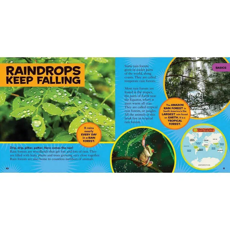 NGK Little Kids First Big Book of the Rain Forest (Hardback) National Geographic