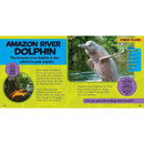 NGK Little Kids First Big Book of the Rain Forest (Hardback) National Geographic