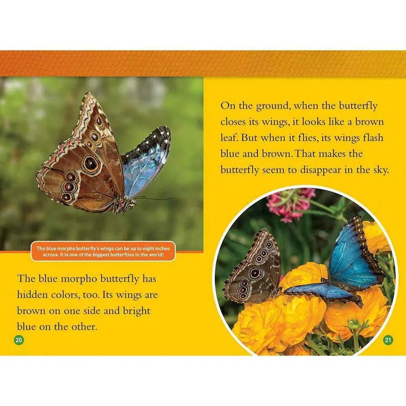 Animals That Change Color (L2) (National Geographic Kids Readers) National Geographic