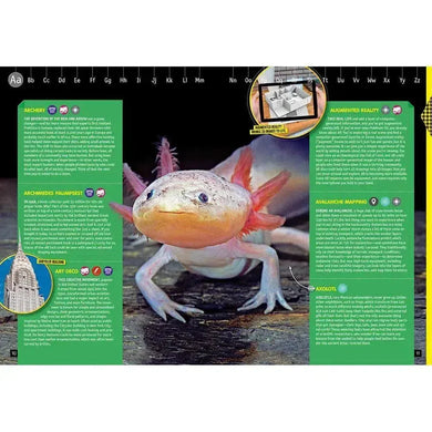Nerd Aa to Zz (Hardback) National Geographic