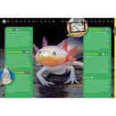 Nerd Aa to Zz (Hardback) National Geographic