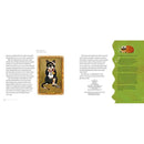 NGK: Animal Stories (Hardback) National Geographic