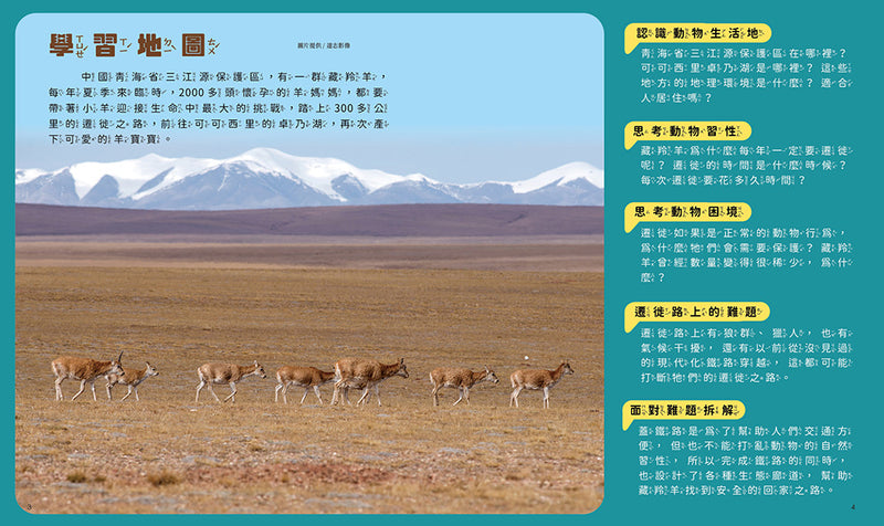 孩子的第一套STEAM繪遊書06 藏羚羊的回家之路【符合SDGs永續發展指標X好讀好玩雙書升級版】