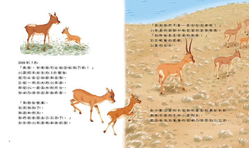 孩子的第一套STEAM繪遊書06 藏羚羊的回家之路【符合SDGs永續發展指標X好讀好玩雙書升級版】