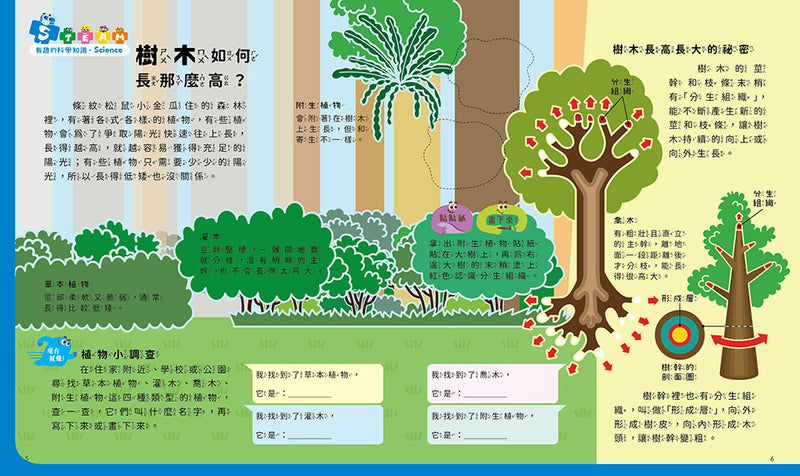 孩子的第一套STEAM繪遊書09 好高好高的台灣杉【符合SDGs永續發展指標X好讀好玩雙書升級版】