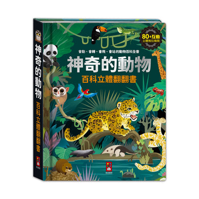 神奇的動物百科立體翻翻書-Children’s / Teenage general interest: Nature and animals-買書書 BuyBookBook