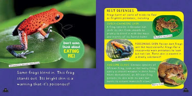 NGK: So Cool: Frogs (Hardback) National Geographic
