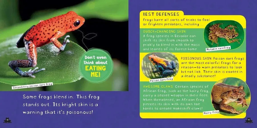 NGK: So Cool: Frogs (Hardback) National Geographic