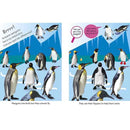 Spot the Difference Animals DK UK