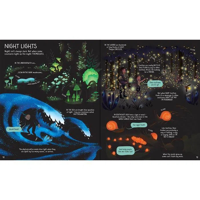 The Usborne book of night time Usborne