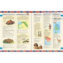 Timelines of World History (Hardback) Usborne