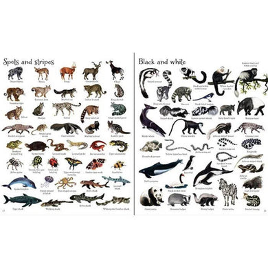 Usborne 1000 Animals Usborne