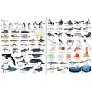 Usborne 1000 Things Under the Sea (New) Usborne