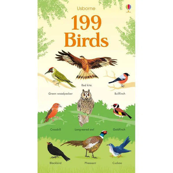 Usborne 199 Birds Usborne