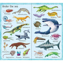 Usborne 199 Dinosaurs and prehistoric animal Usborne