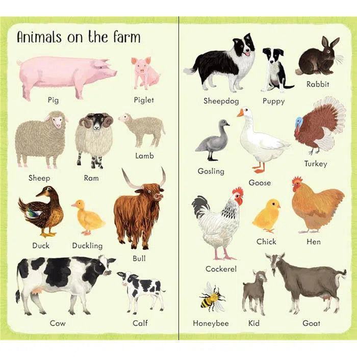 Usborne 199 Things on the Farm Usborne