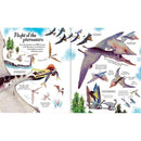 Usborne Big Picture book Dinosaurs Usborne