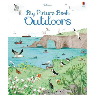 Usborne Big Picture book Outdoors Usborne