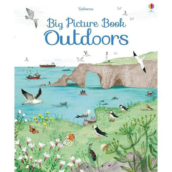 Usborne Big Picture book Outdoors Usborne