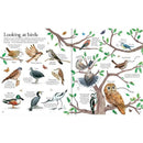 Usborne Big Picture book Outdoors Usborne