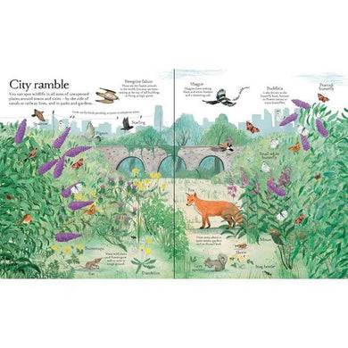 Usborne Big Picture book Outdoors Usborne