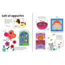 Usborne Lift-the-flap Opposites Usborne