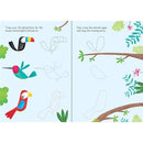 Usborne Little wipe-clean animals to copy and trace Usborne
