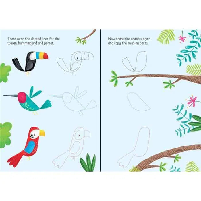 Usborne Little wipe-clean animals to copy and trace Usborne